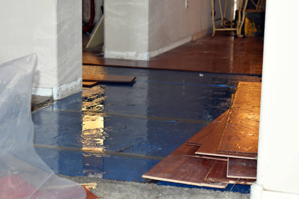 Professional Sewage Cleanup technician working in Clifford, MI